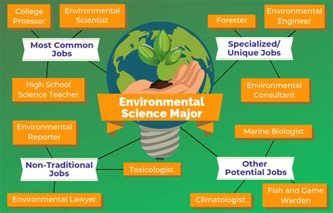 What Can You Do With an Environmental Studies Degree?