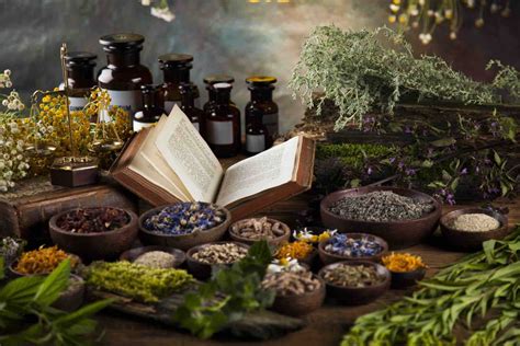Alternative Herbal Health Services: A Path to Holistic Healing
