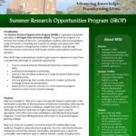 USF Department of Psychology: Advancing Discovery and Transforming Lives Key Achievements and Accomplishments How We Are Transforming Lives The Future of Psychology at USF Additional Resources Frequently Asked Questions Tables