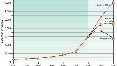 Demographic Momentum: Shaping the Future of Human Geography Key Concepts in Demographic Momentum Case Studies on Demographic Momentum Innovations in Addressing Demographic Momentum Comparative Tables Frequently Asked Questions