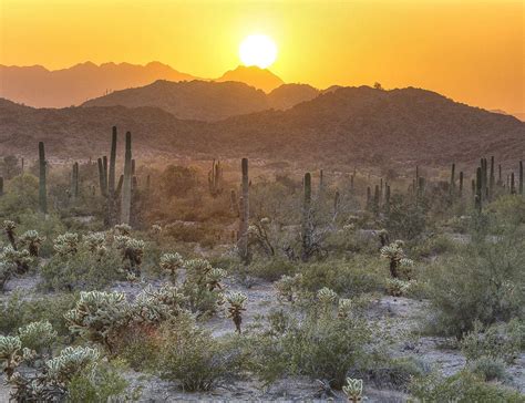 Abercrombie Tucson Arizona: A Cultural Hub in the Heart of the Sonoran Desert