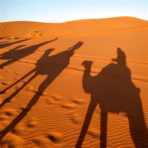 Study Abroad with UMass: Explore the World, Enrich Your Education