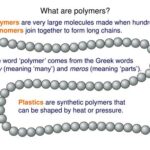 What is a Polymer in AP Biology?