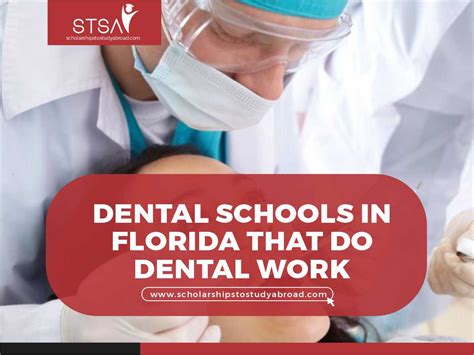 Best Dental Schools in Florida: A Comprehensive Guide
