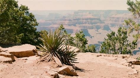 How Much Is Grand Canyon University?