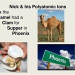 Nick the Camel Ate a Clam for Supper in Phoenix