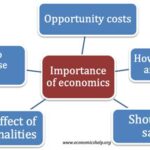 How is Economic Thinking Beneficial to All Aspects of Life?