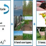 Abiotic Factor Capacitor: Unlocking Nature’s Potential for Sustainability and Innovation