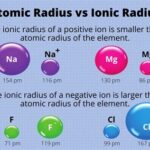 Anion Radius from Atomic Attraction Force and Cation Ionic Radius