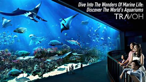 South Carolina Aquarium Careers: Dive into a World of Marine Wonders Career Opportunities Tips for a Successful Application Benefits of Working at the South Carolina Aquarium FAQs