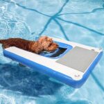 Dog Water Ramp: A Guide to Safe and Comfortable Water Access