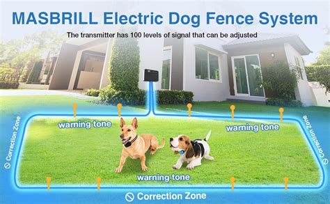 Electric Dog Fence Above Ground: A Comprehensive Guide