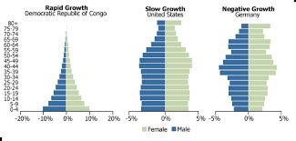 Negative Growth Population Pyramid: A Looming Crisis