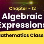 Pre-Calculus Algebraic Expressions: Unlocking Algebraic Power