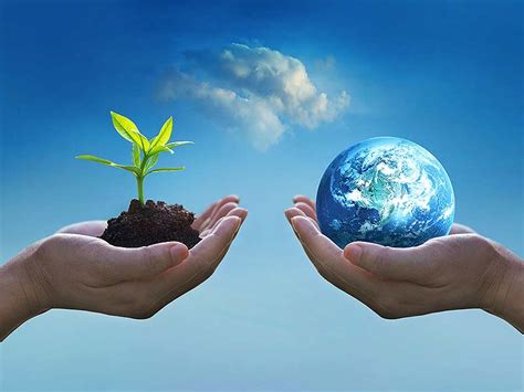 How to Care for the Environment: A Comprehensive Guide