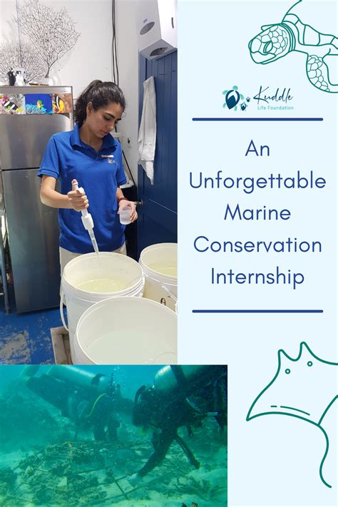 Alaska Sealife Center Internship: An Unforgettable Dive into Marine Conservation