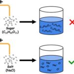 Conductive When Dissolved in Water: A Comprehensive Guide to Electrolyte Solutions