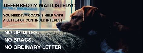 Waitlisted vs. Deferred: Navigating the College Admissions Maze