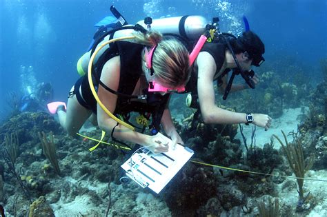 Best Marine Biology Graduate Programs