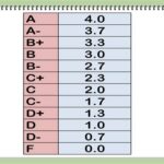 What Percentage is a Grade if You Got 13/20?