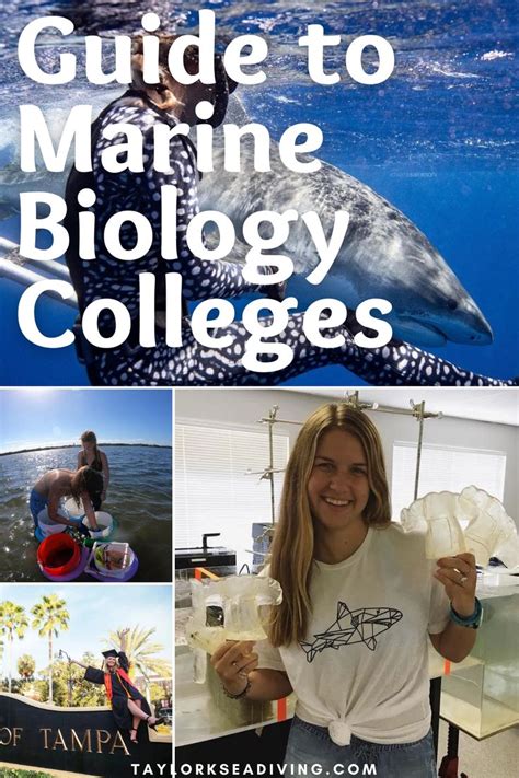 Good Marine Biology Schools That Will Actually Get You Hired