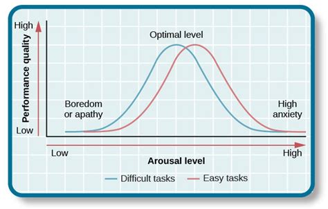 Yerkes-Dodson Law: Demystifying the Relationship Between Arousal and Performance