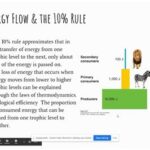 AP Environmental Science Unit 1 Review: Systems, Energy, and Matter