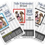 Yale Central ID Center: Your Gateway to Yale Resources and Services