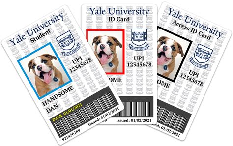 Yale Central ID Center: Your Gateway to Yale Resources and Services