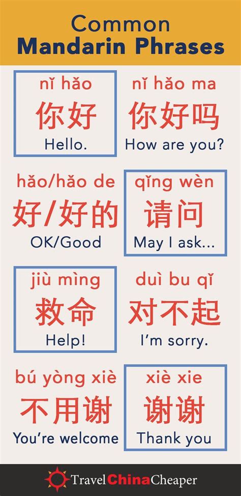 What is This in Chinese Language?