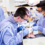 3-Year Dental School Programs: Accelerating Your Path to Dentistry