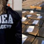 Danielle Dreyer: The DEA’s Anti-Opioid Crusader