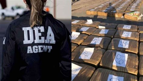 Danielle Dreyer: The DEA’s Anti-Opioid Crusader