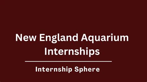 New England Aquarium Internships: Dive into the Depths of Marine Conservation and Research