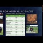 Penn State Animal Science: Redefining the Future of Agriculture Tables