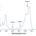 Absorbance vs Wavelength Graph: A Comprehensive Guide to Understanding the Spectrum of Light