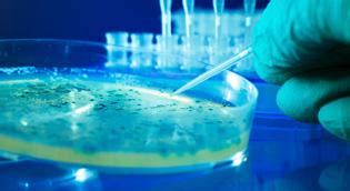 Biological Sciences Major at Pitt: Uncovering the Mysteries of Life