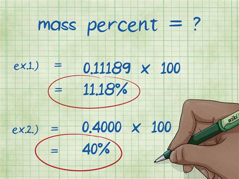 How Do You Find the Percent Change in Mass?