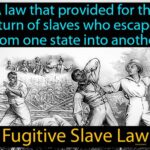 Fugitive Slave Law: APUSH Definition History of the Fugitive Slave Law Impact of the Fugitive Slave Law Key Provisions of the Fugitive Slave Law Controversy Surrounding the Fugitive Slave Law The Fugitive Slave Law and the Civil War Tables