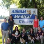 Garner Veterinary Clinic: Providing Exceptional Animal Care in Iowa