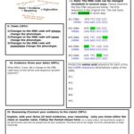 Claim-Evidence-Reasoning CER Model: Evaluating the Impact of Mutations