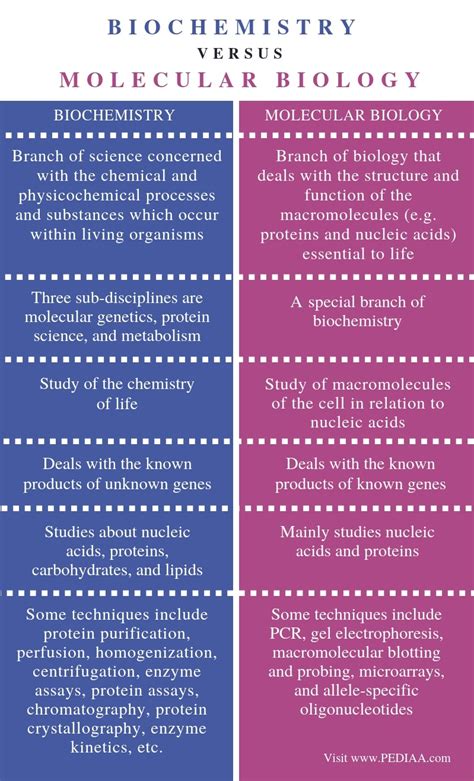 Biochemistry vs. Molecular Biology: Dissecting the Nuances in Life Science Diverging Perspectives and Converging Goals The Interplay of Biochemistry and Molecular Biology Applications in the Modern World Imaginative New Applications Tips and Tricks for Aspiring Students Pros and Cons FAQs Conclusion