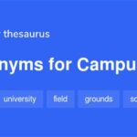 Alternative Expressions for the Academic Hub: Campus Synonyms