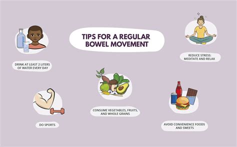 Move with Regularity: The Key to Bowel Health and Beyond