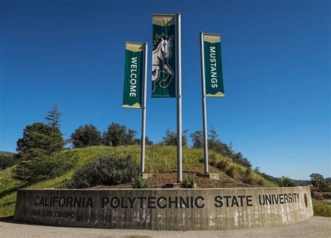 Cal Poly SLO Decisions 2024: Everything You Need to Know