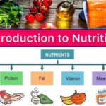 Intro to Introduction to Nutrition 1-3 Exam: A Comprehensive Guide