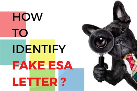 Fake ESA Letter: How to Spot a Fraud