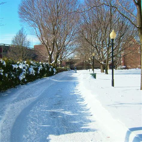 Wagner College Tuition: Exploring the Costs and Financial Aid Options