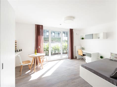 I Live in an Apartment: The Ultimate Guide to Urban Living