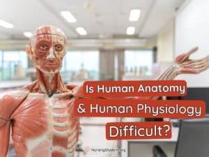 Is Human Anatomy and Physiology Hard?